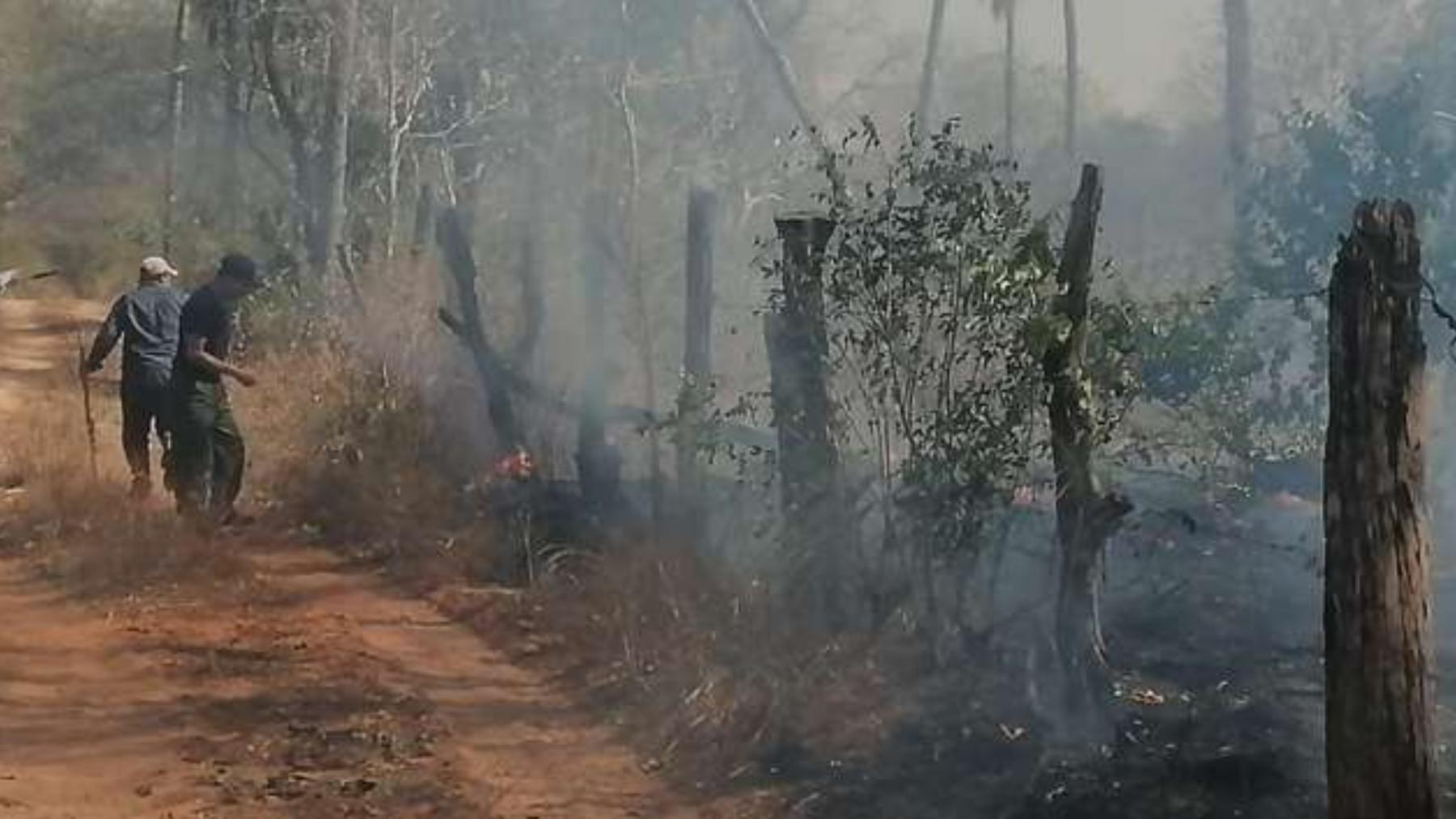 Incendio forestal en Roboré /Foto: comunarios